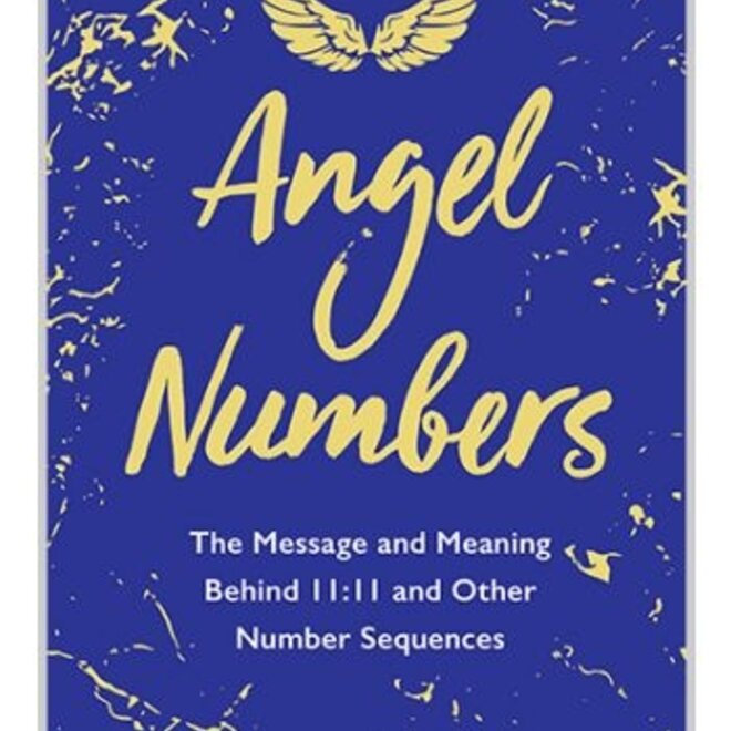 Angel Numbers Book by Kyle Gray