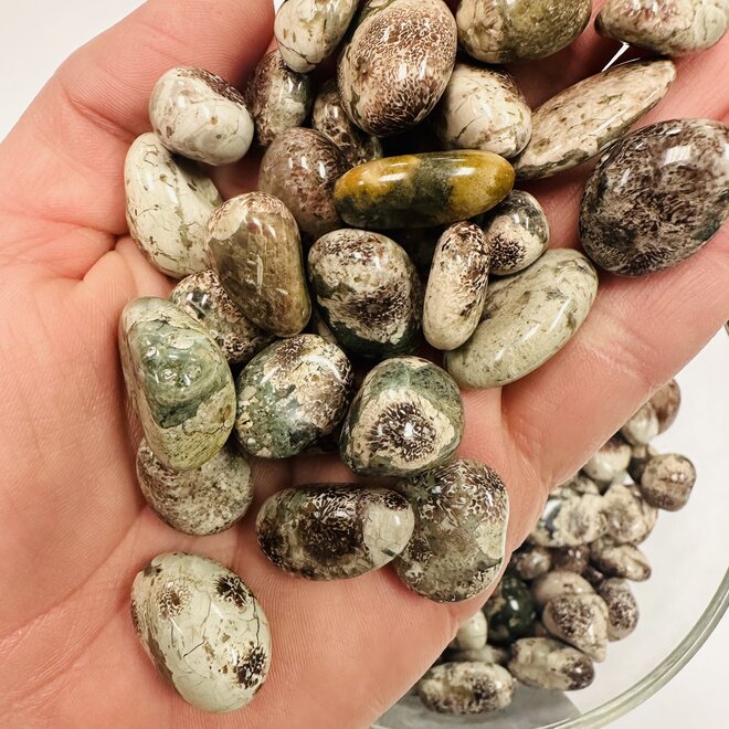 Green Flower Jasper (Sakura Rhyolite) Tumble Small