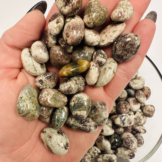 Green Flower Jasper ( Sakura Rhyolite) Tumbled Small