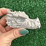 Picasso Jasper Dragon Head Carving 2.5"