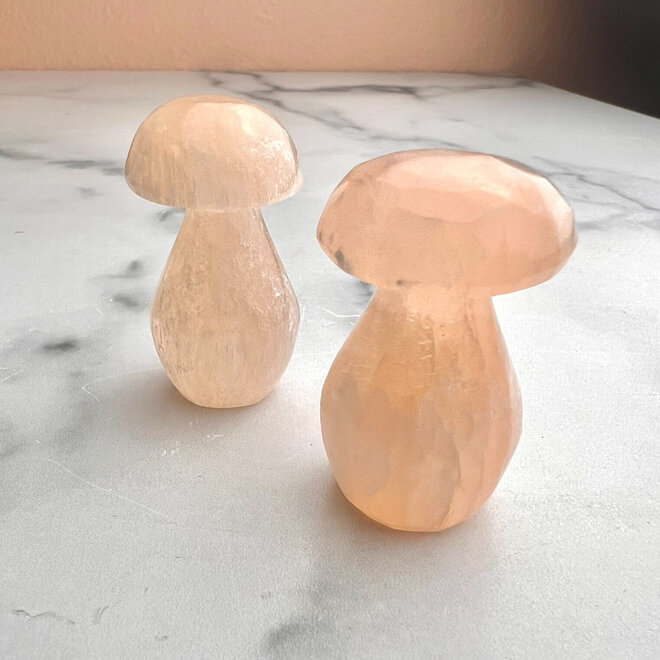Mini Orange Selenite Mushroom