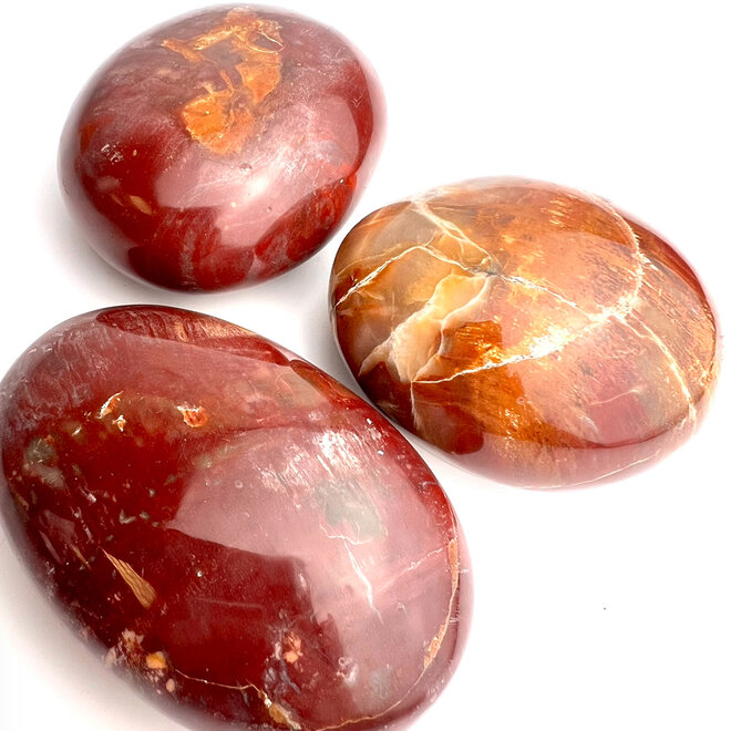 Red Petrified Wood Palmstone