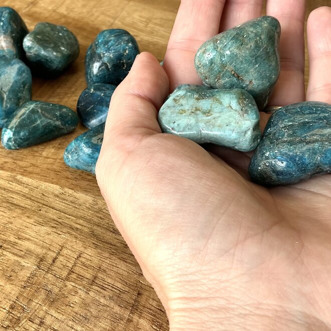 Blue Apatite Tumble Large