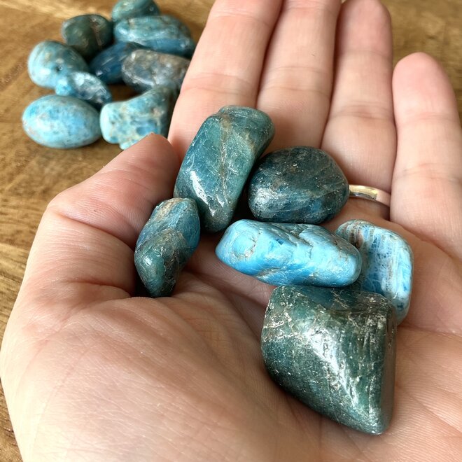 Blue Apatite Tumble Small