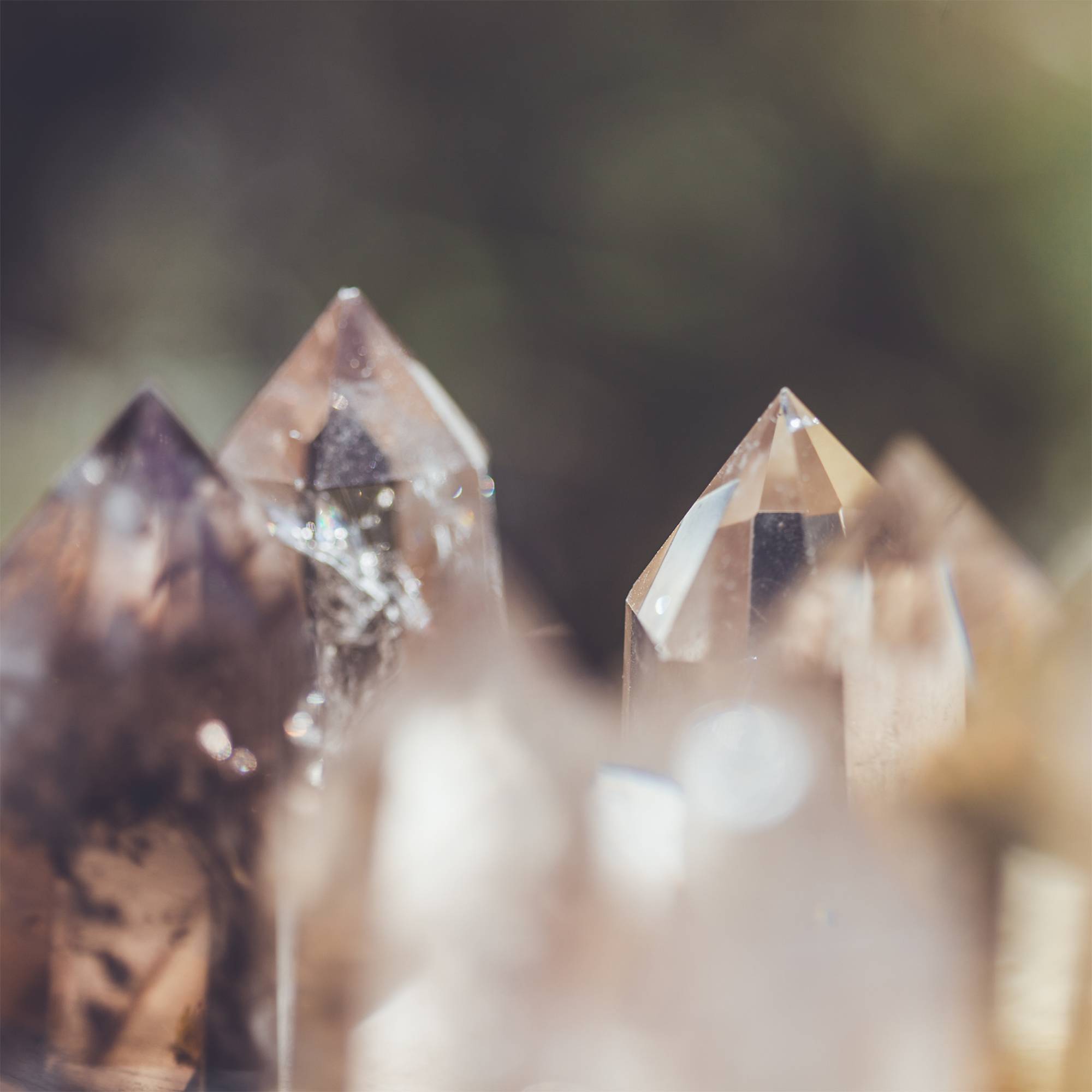 FOLLOW US ON FACEBOOK