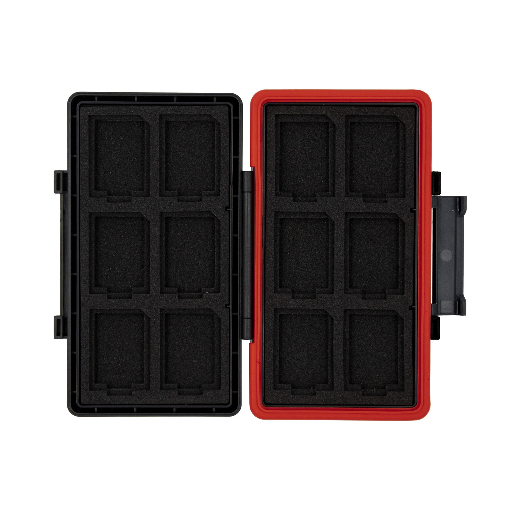 Promaster PRO Rugged Memory Case CFX-A & SD