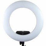 Savage Savage Ringlight Rainbow RGB RGBRL
