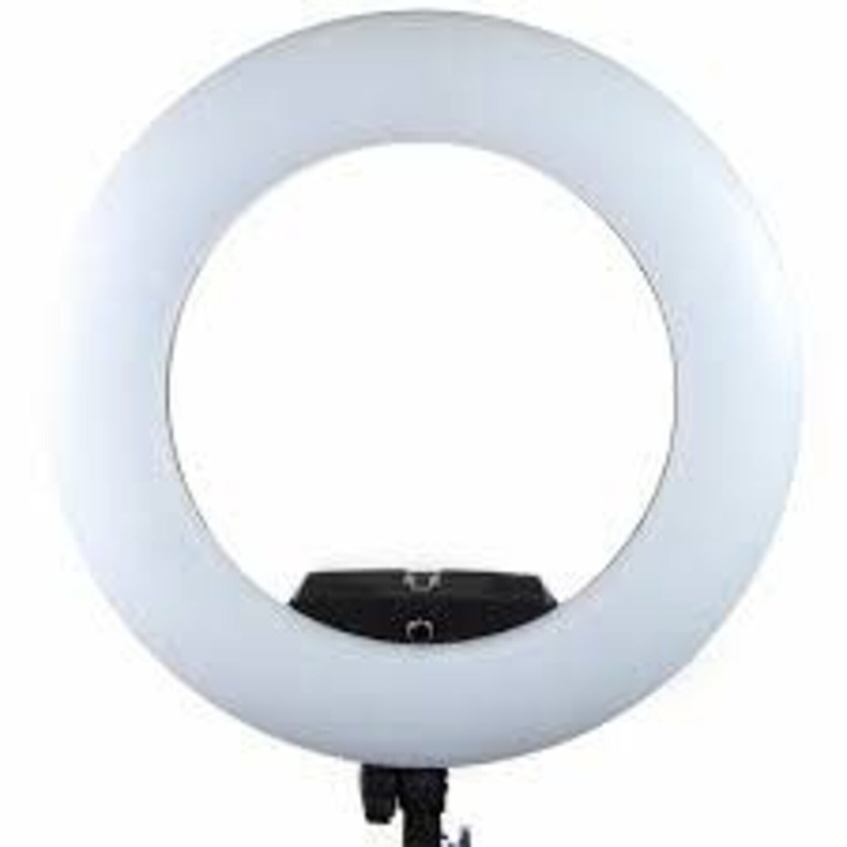 Savage Savage Ringlight Rainbow RGB RGBRL