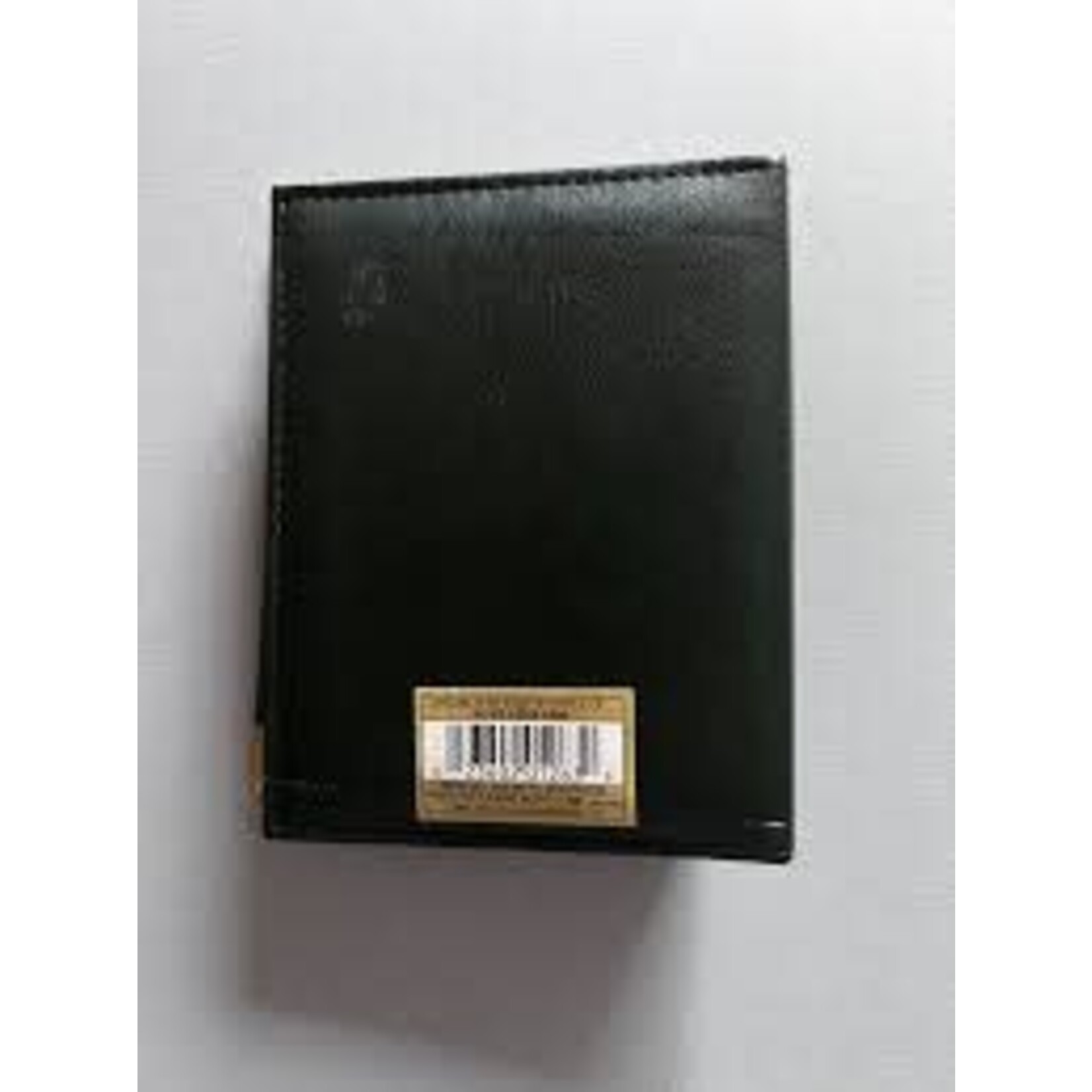 Pioneer Album Oxford Minimax Brass 4X6/100 E4100
