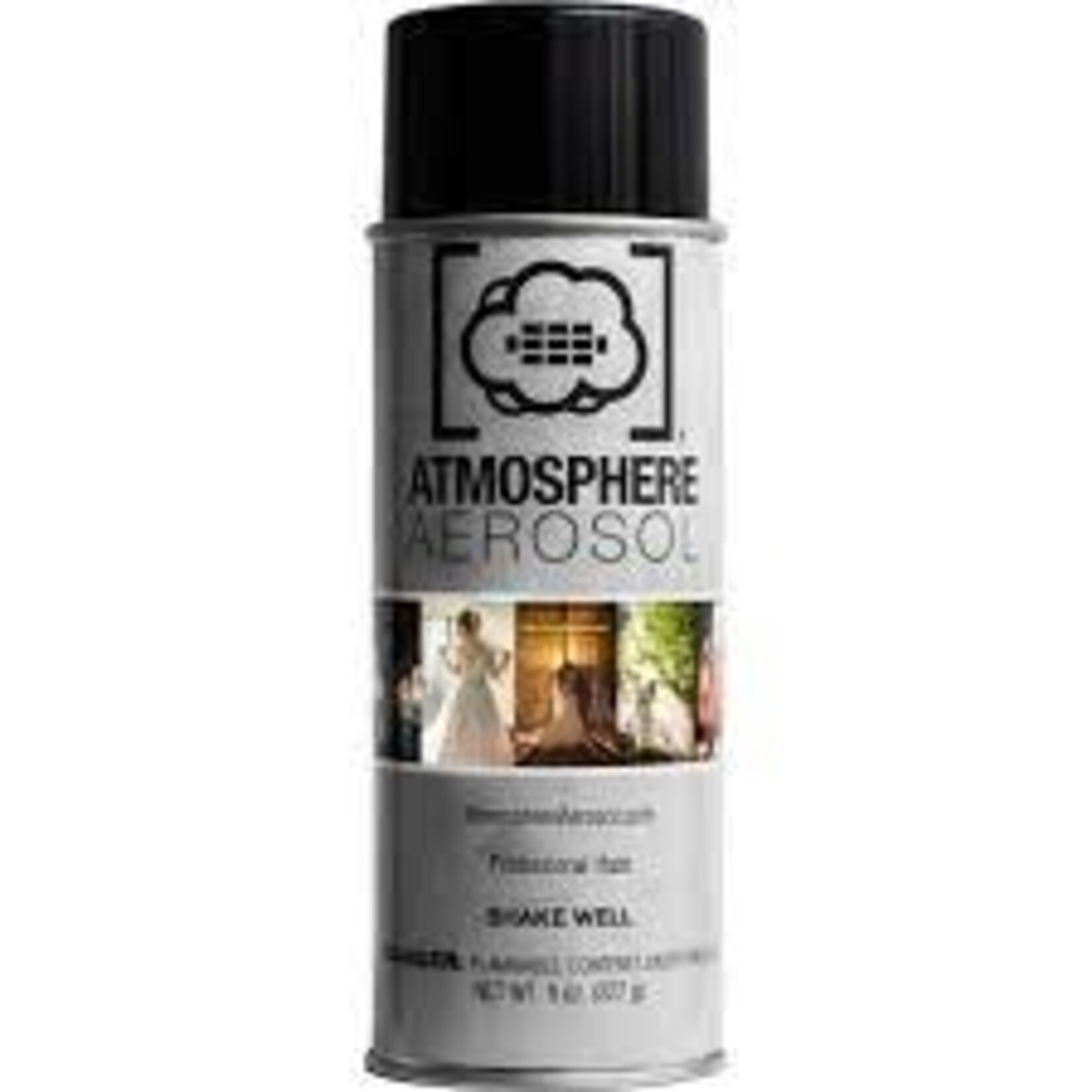Atmosphere Aerosol Profl Haze 8oz