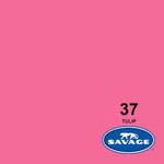 Savage 53in x 36ft Tulip Savage Background Paper