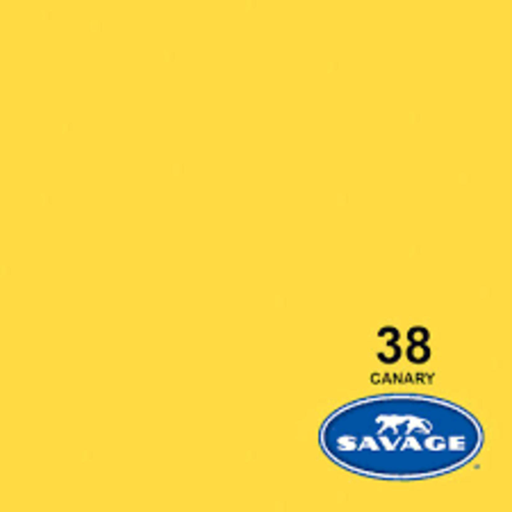 Savage 53in x 36ft Canary Savage Background Paper