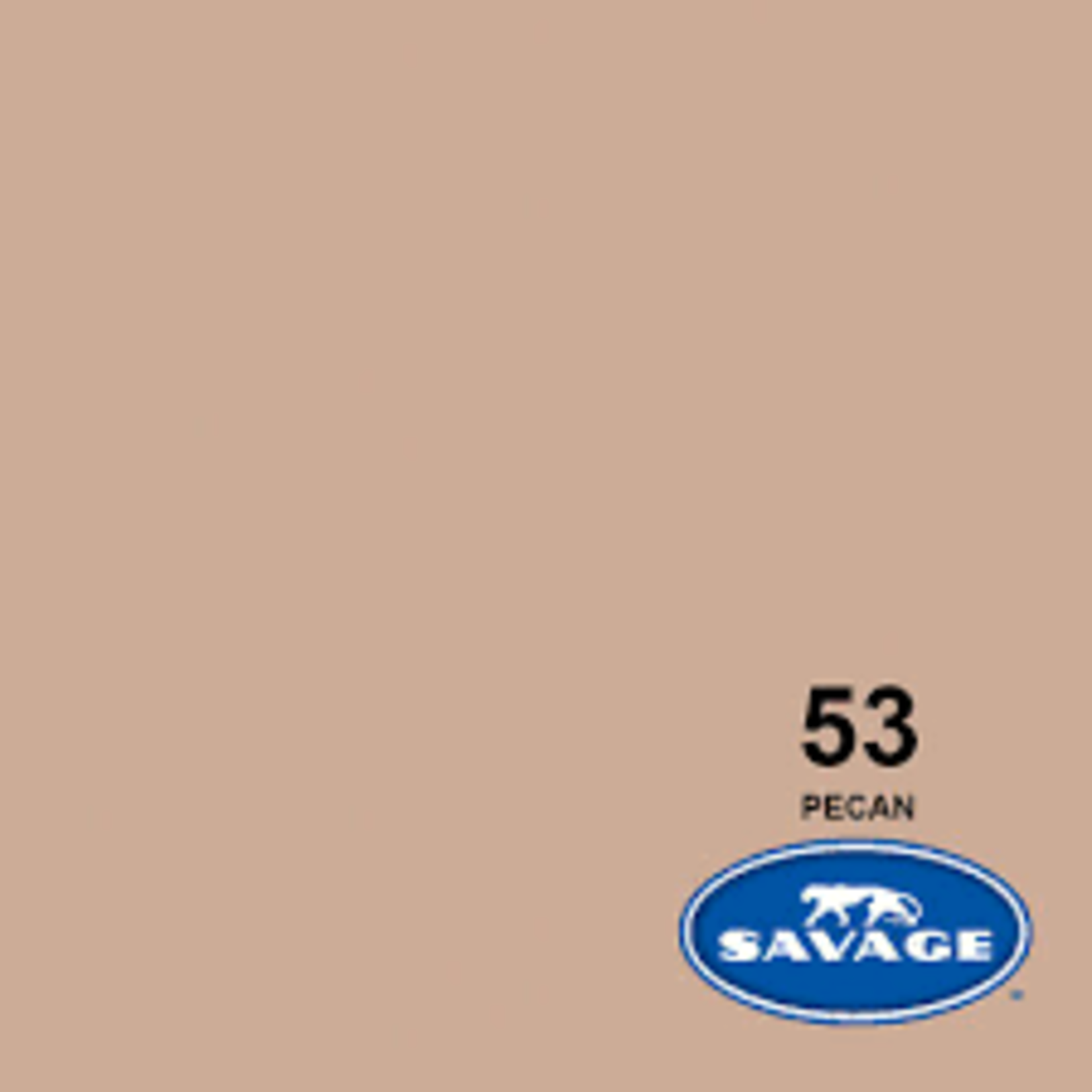 Savage 53in x 36ft Pecan Savage Background Paper