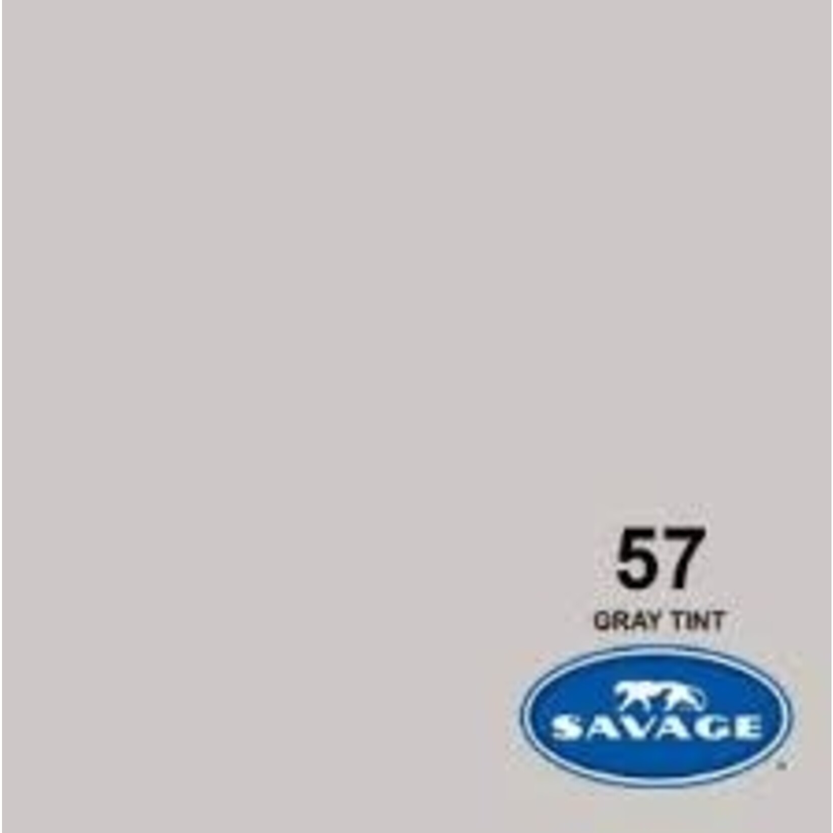 Savage 53in x 36ft Gray Tint Savage Background Paper