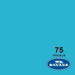 Savage 53in x 36ft True Blue Savage Background Paper