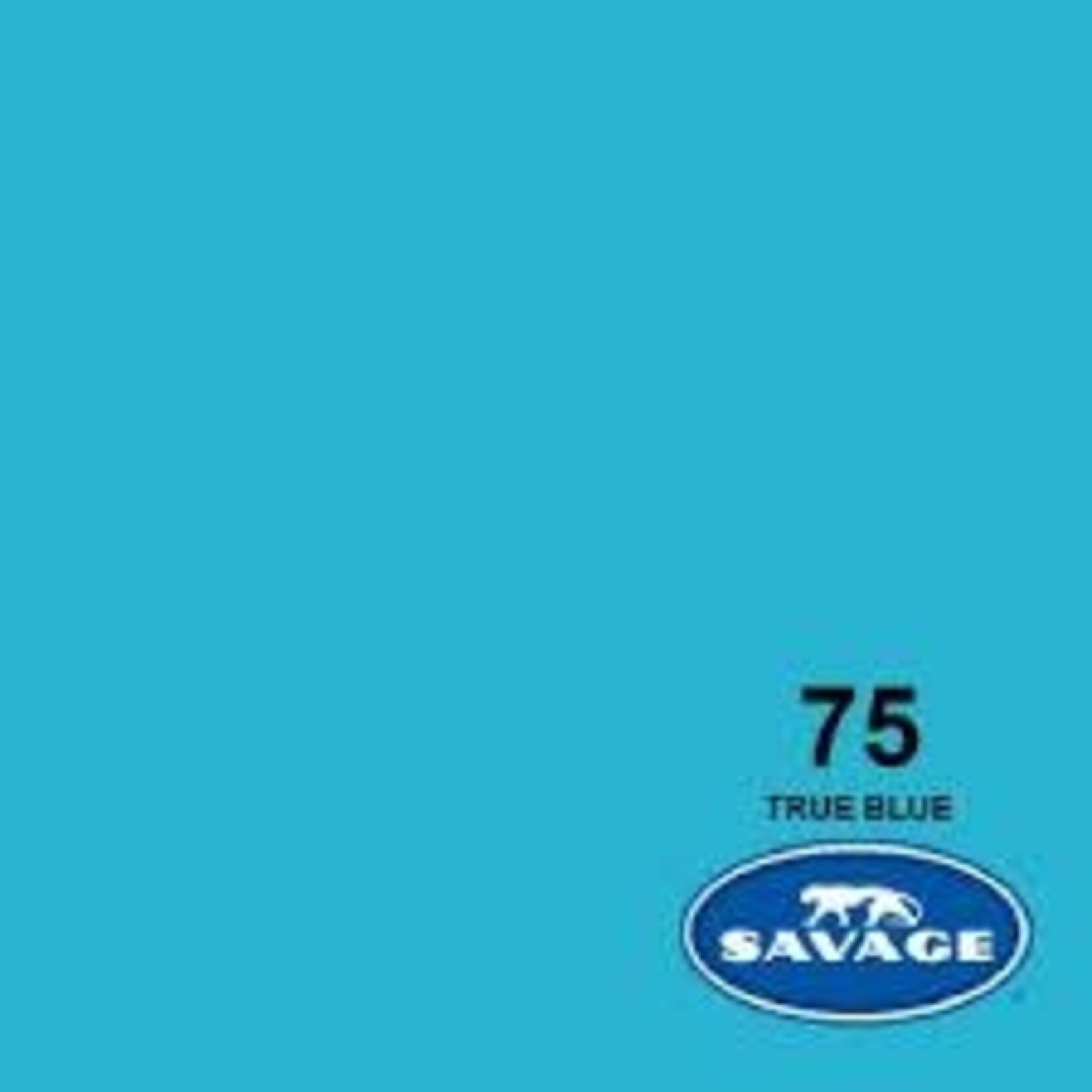Savage 53in x 36ft True Blue Savage Background Paper