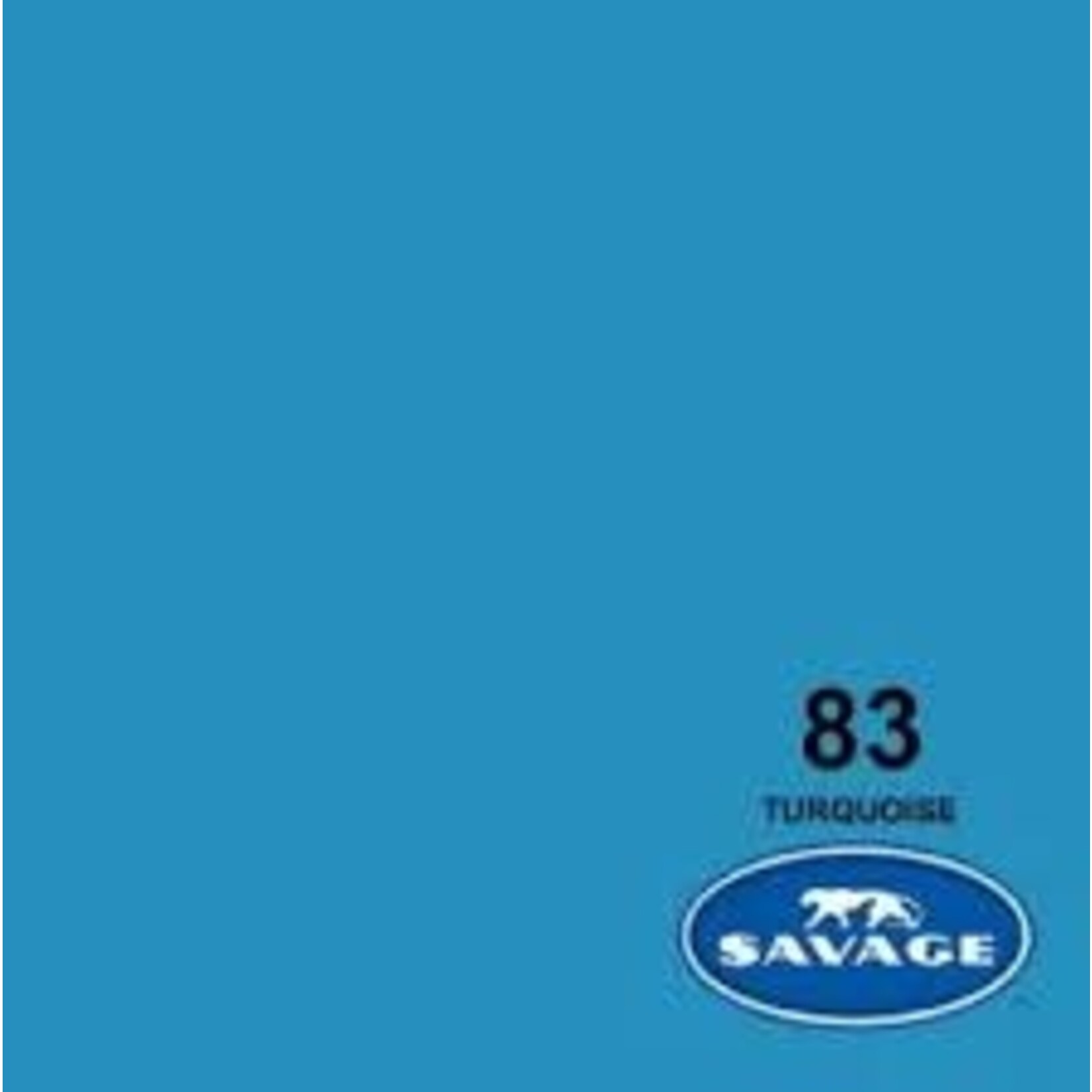 Savage 53in x 36ft Turquoise Savage Background Paper