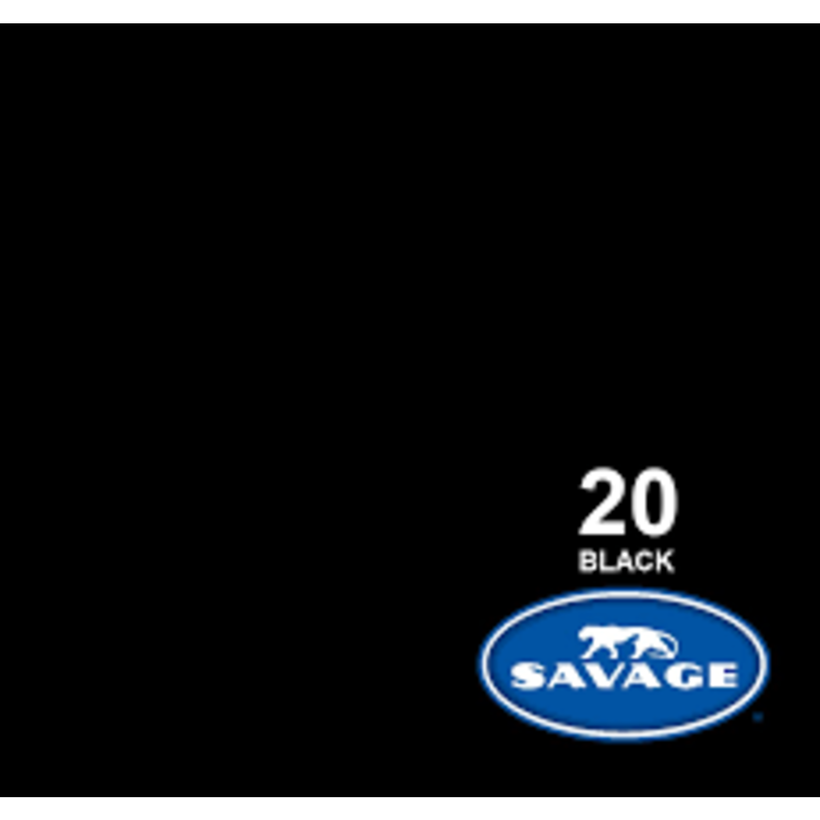 Savage 107in x 36ft Black Savage Background Paper