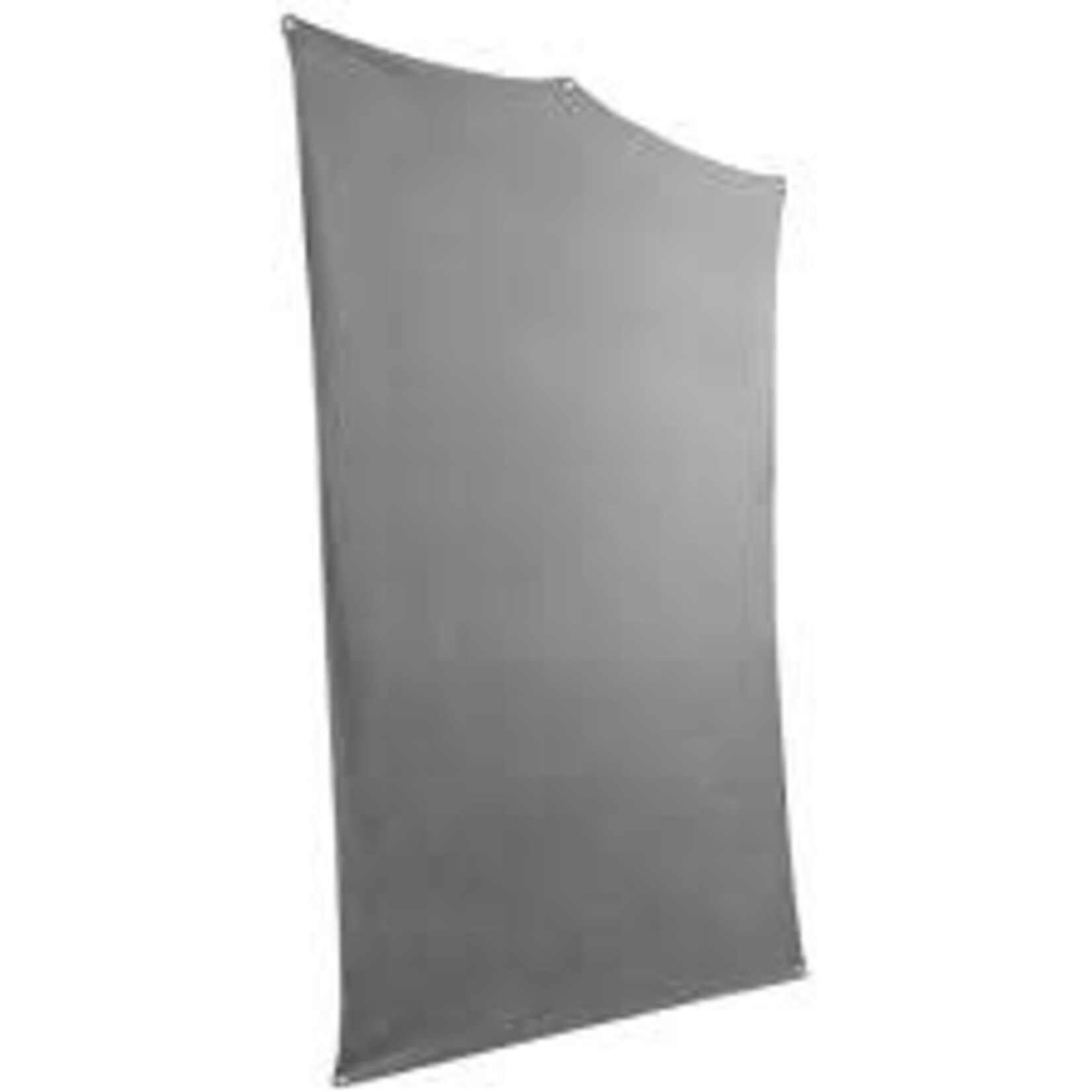 Savage Savage 5ft x 7ft Gray Background
