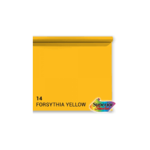 Savage 53in x 36ft Forsythia Background Paper Superior