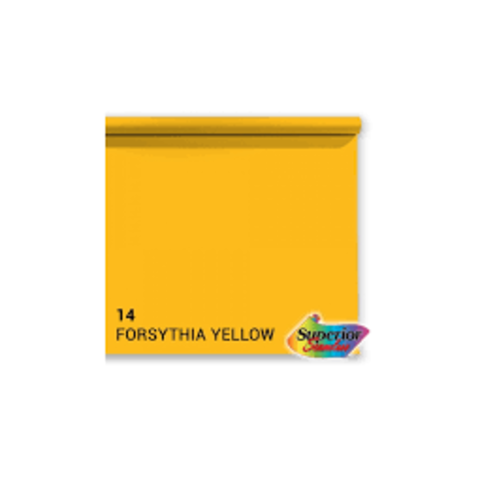 Savage 53in x 36ft Forsythia Background Paper Superior