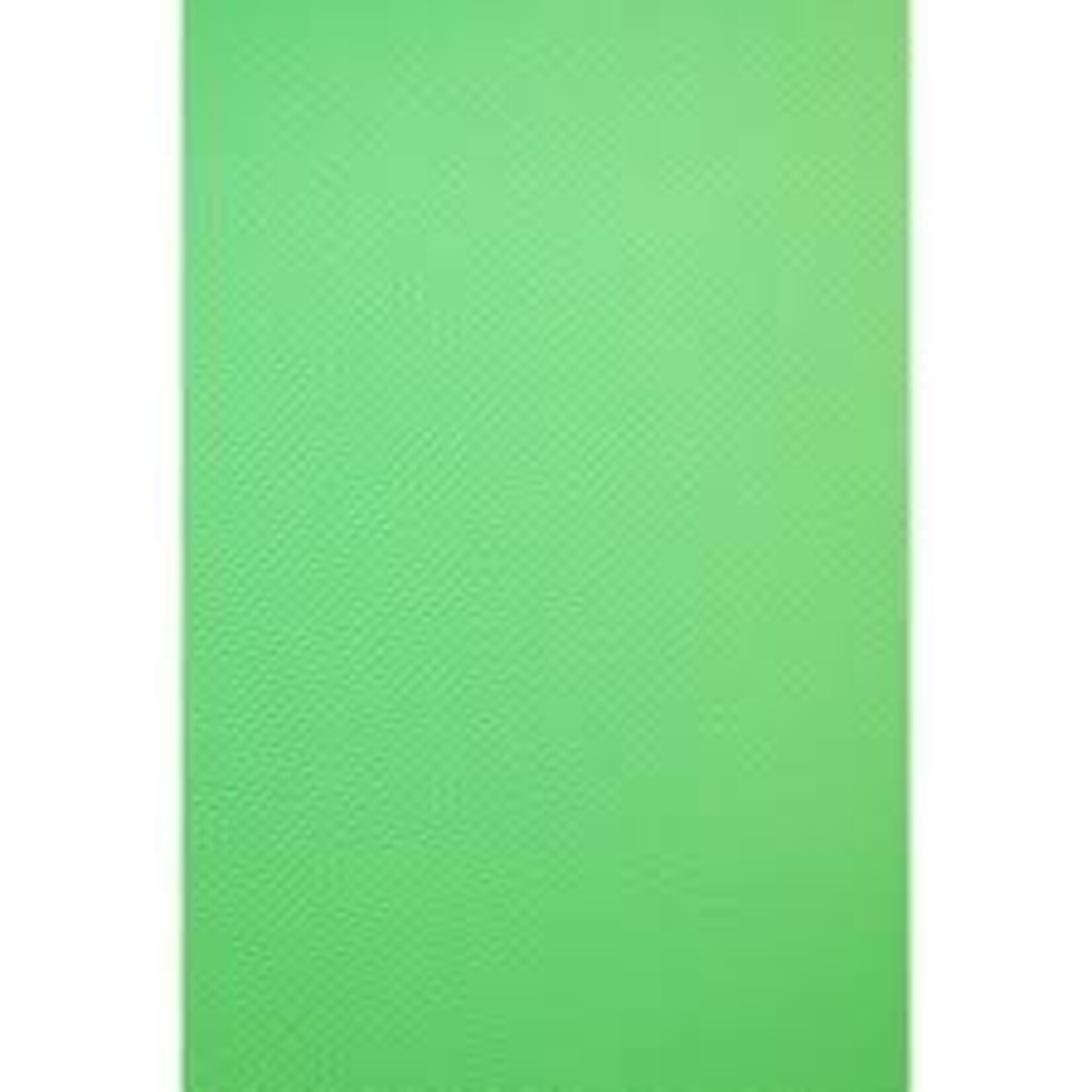 Savage Savage 8ft x 10ft Chroma Green Background Vinyl