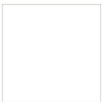 Savage Savage 8ft x 10ft Pure White Background Vinyl