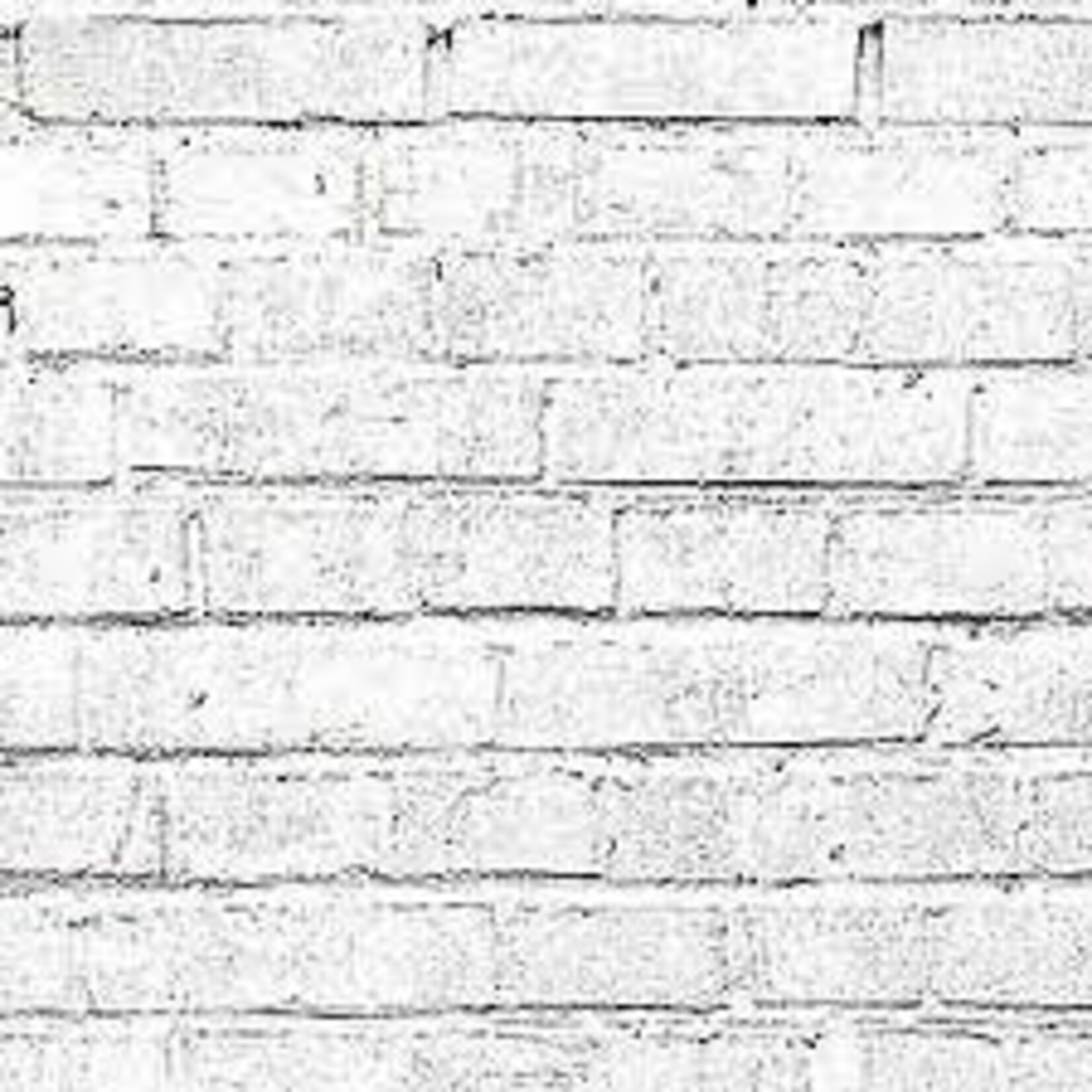 Savage 53in x 18ft White Brick Printed Savage Background Paper
