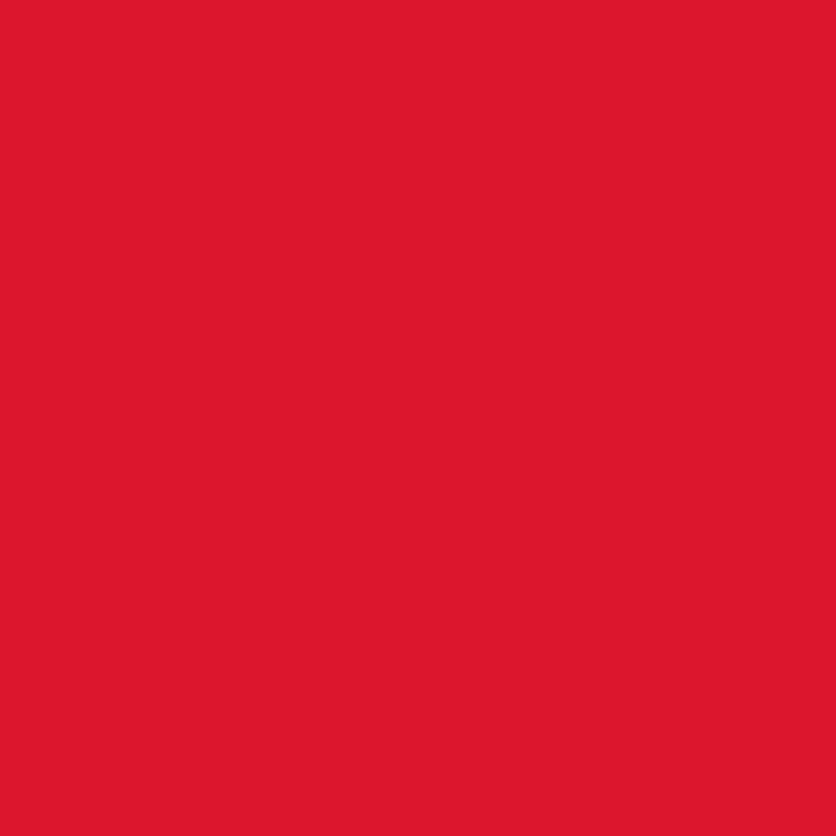 Savage 107in x 36ft Scarlet Background Paper Superior