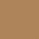 Savage 107in x 36ft Nutmeg Background Paper Superior