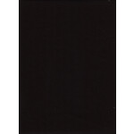 Promaster PRO Solid Backdrop 10ft x 12ft - Black 1856