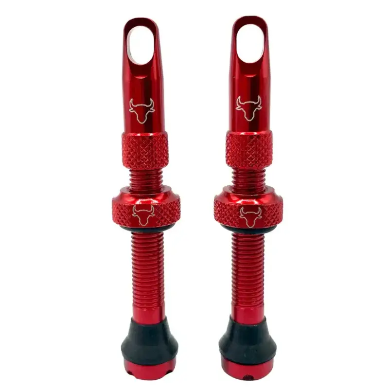 Hold Fast Cycling Hold Fast Cycling, Tubeless Valve Stem, 42mm (Pair)