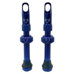 Hold Fast Cycling Hold Fast Cycling, Tubeless Valve Stem, 42mm (Pair)