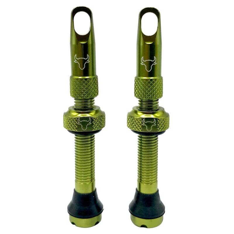 Hold Fast Cycling Hold Fast Cycling, Tubeless Valve Stem, 42mm (Pair)