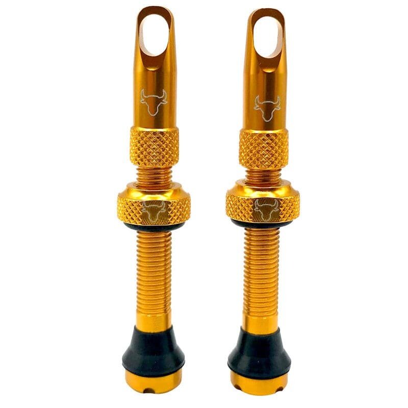 Hold Fast Cycling Hold Fast Cycling, Tubeless Valve Stem, 42mm (Pair)