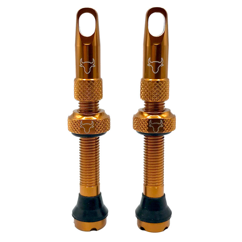 Hold Fast Cycling Hold Fast Cycling, Tubeless Valve Stem, 42mm (Pair)
