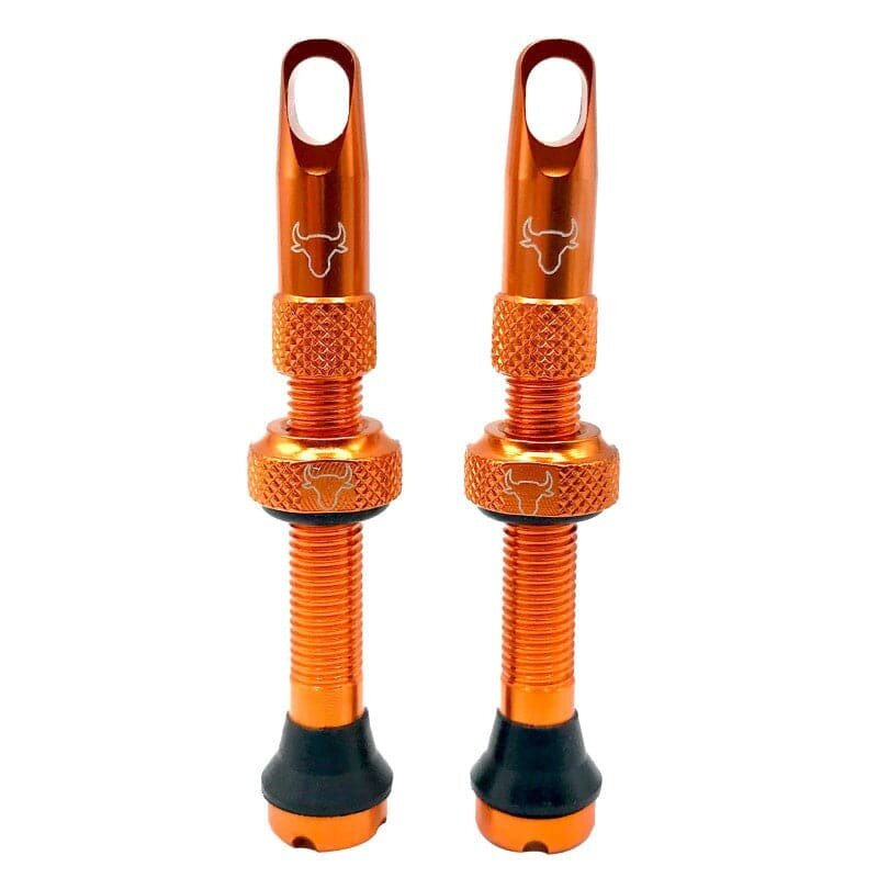 Hold Fast Cycling Hold Fast Cycling, Tubeless Valve Stem, 42mm (Pair)