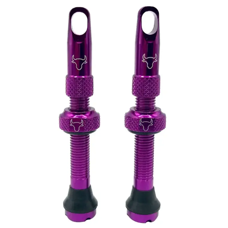 Hold Fast Cycling Hold Fast Cycling, Tubeless Valve Stem, 42mm (Pair)