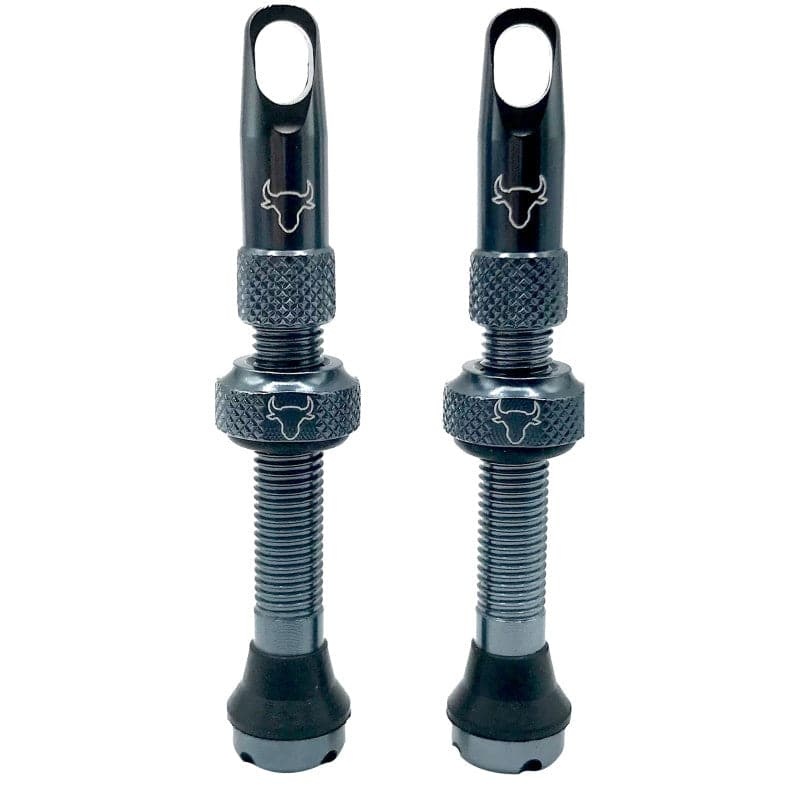 Hold Fast Cycling Hold Fast Cycling, Tubeless Valve Stem, 42mm (Pair)