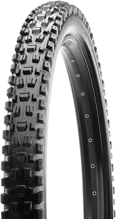 Maxxis Maxxis, Assegai Tire, 29 x 2.5, Tubeless, Folding, Black, Dual, EXO, Wide Trail