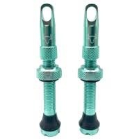 Hold Fast Cycling Hold Fast Cycling, Tubeless Valve Stem, 65mm (Pair)