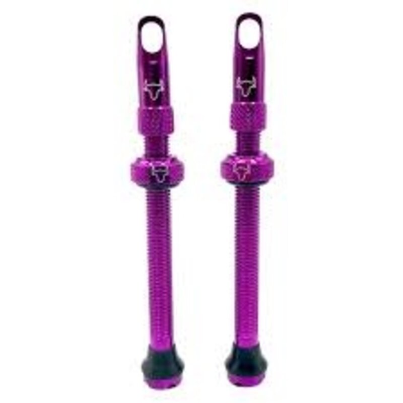 Hold Fast Cycling Hold Fast Cycling, Tubeless Valve Stem, 65mm (Pair)