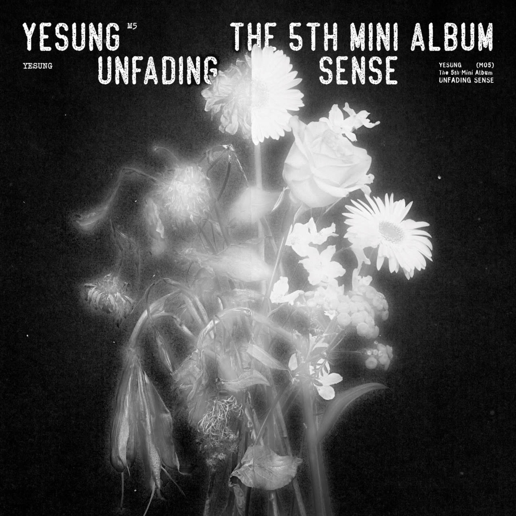 YESUNG - The 5th Mini Album [Unfading Sense] (Photo Book Ver.)