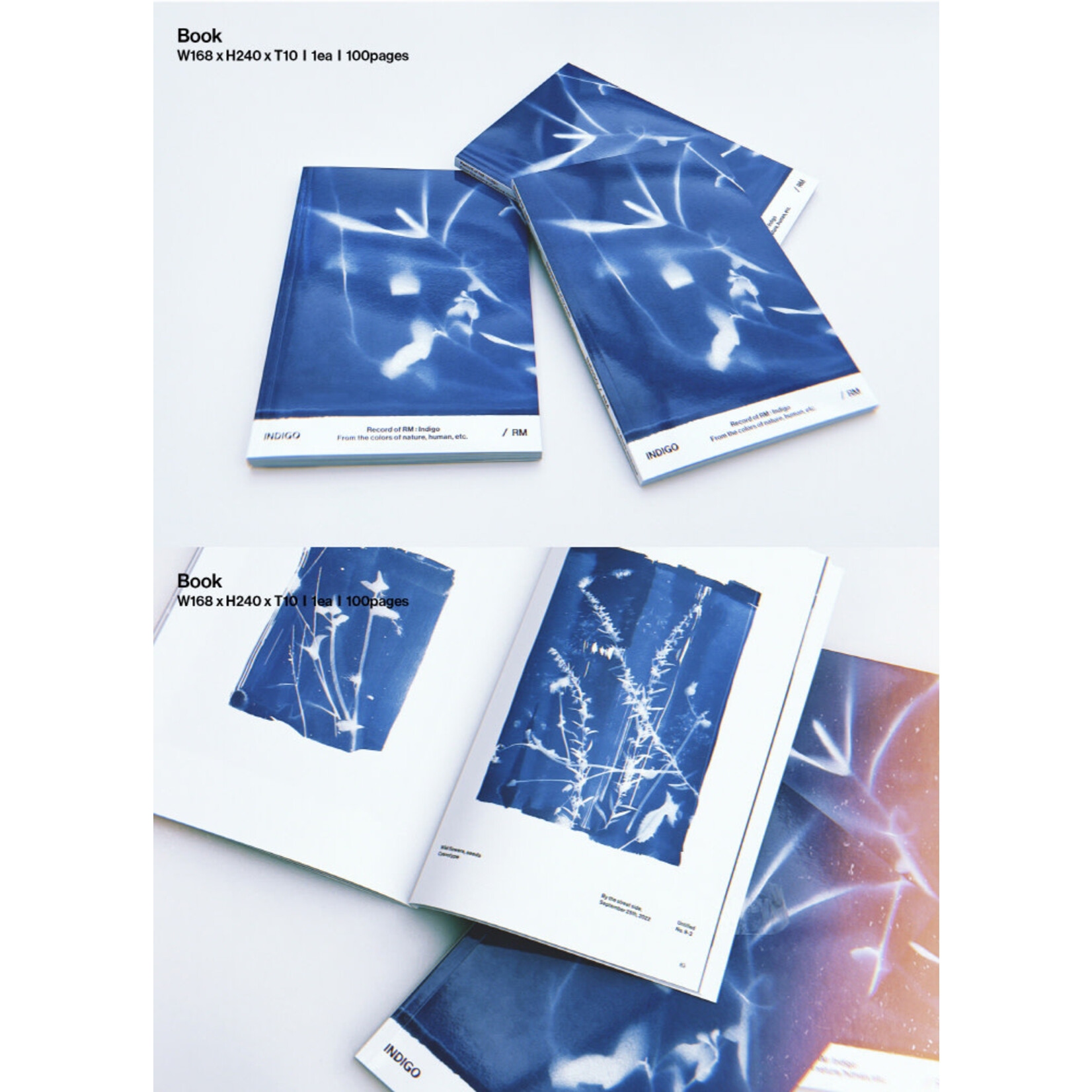 BTS RM - [Indigo] Book Edition