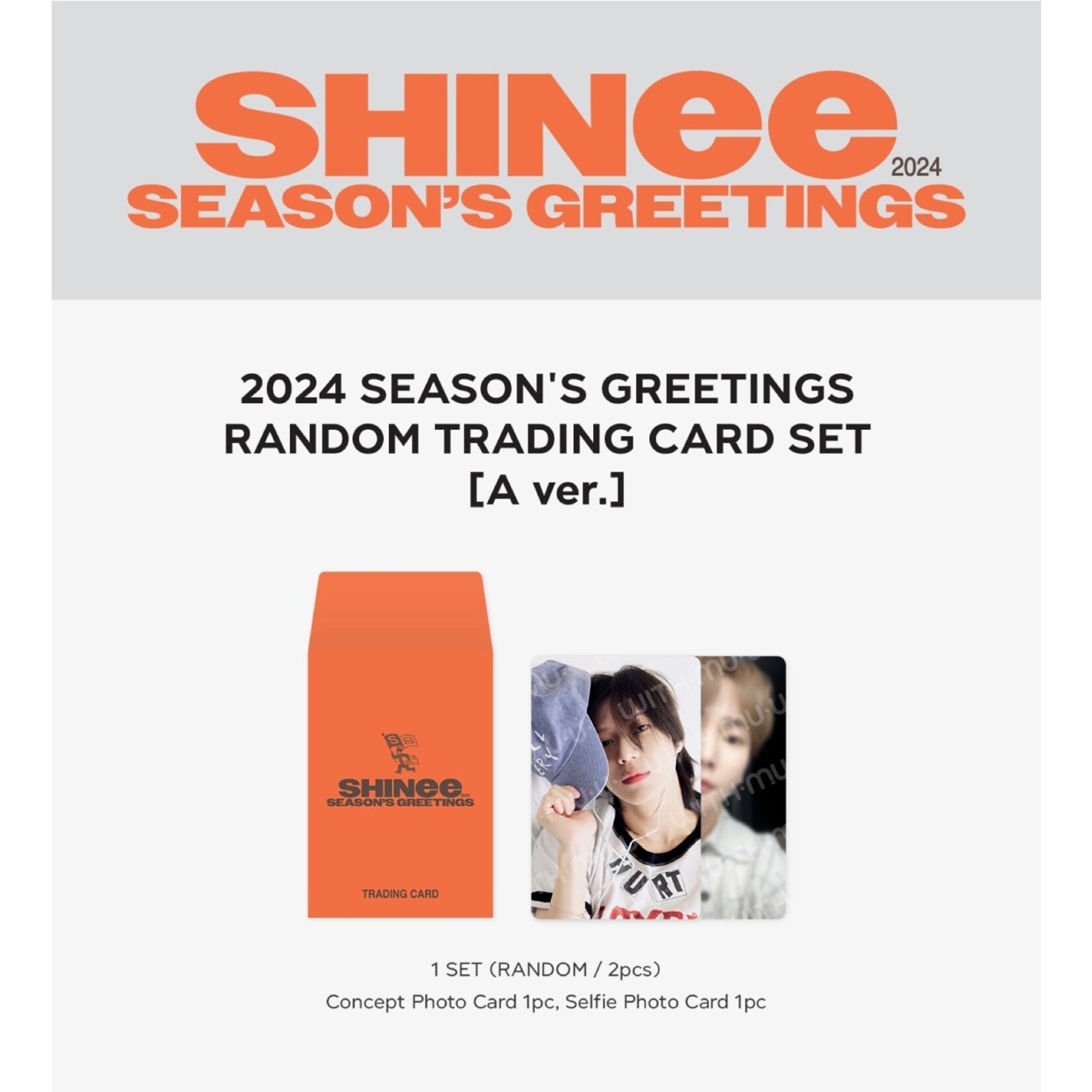 Shinee Shinee - 12 RANDOM TRADING CARD SET / 2024 SEASON'S GREETINGS OFFICIAL MD