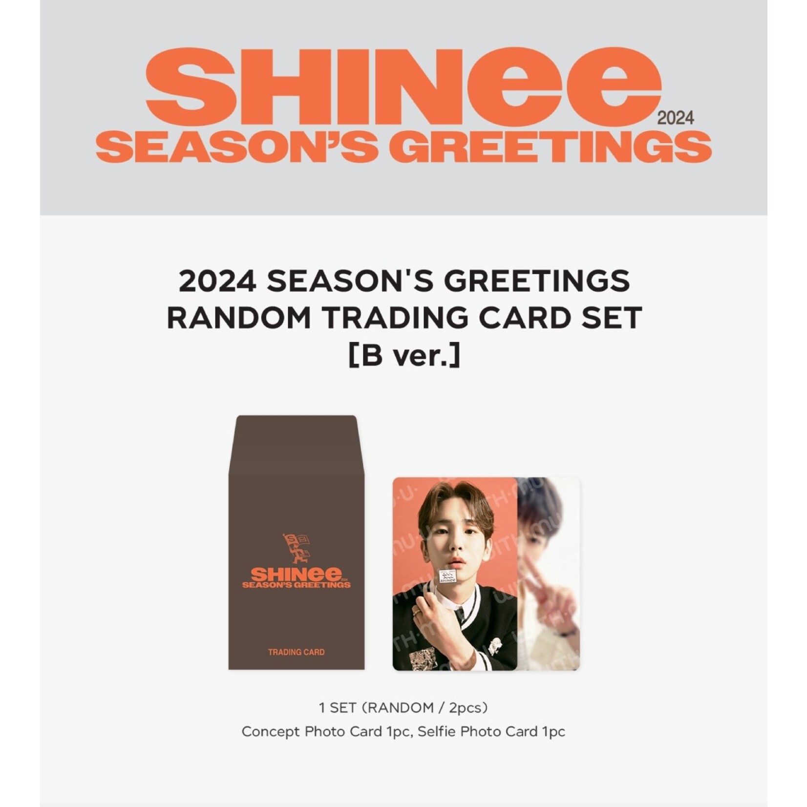 Shinee Shinee - 12 RANDOM TRADING CARD SET / 2024 SEASON'S GREETINGS OFFICIAL MD