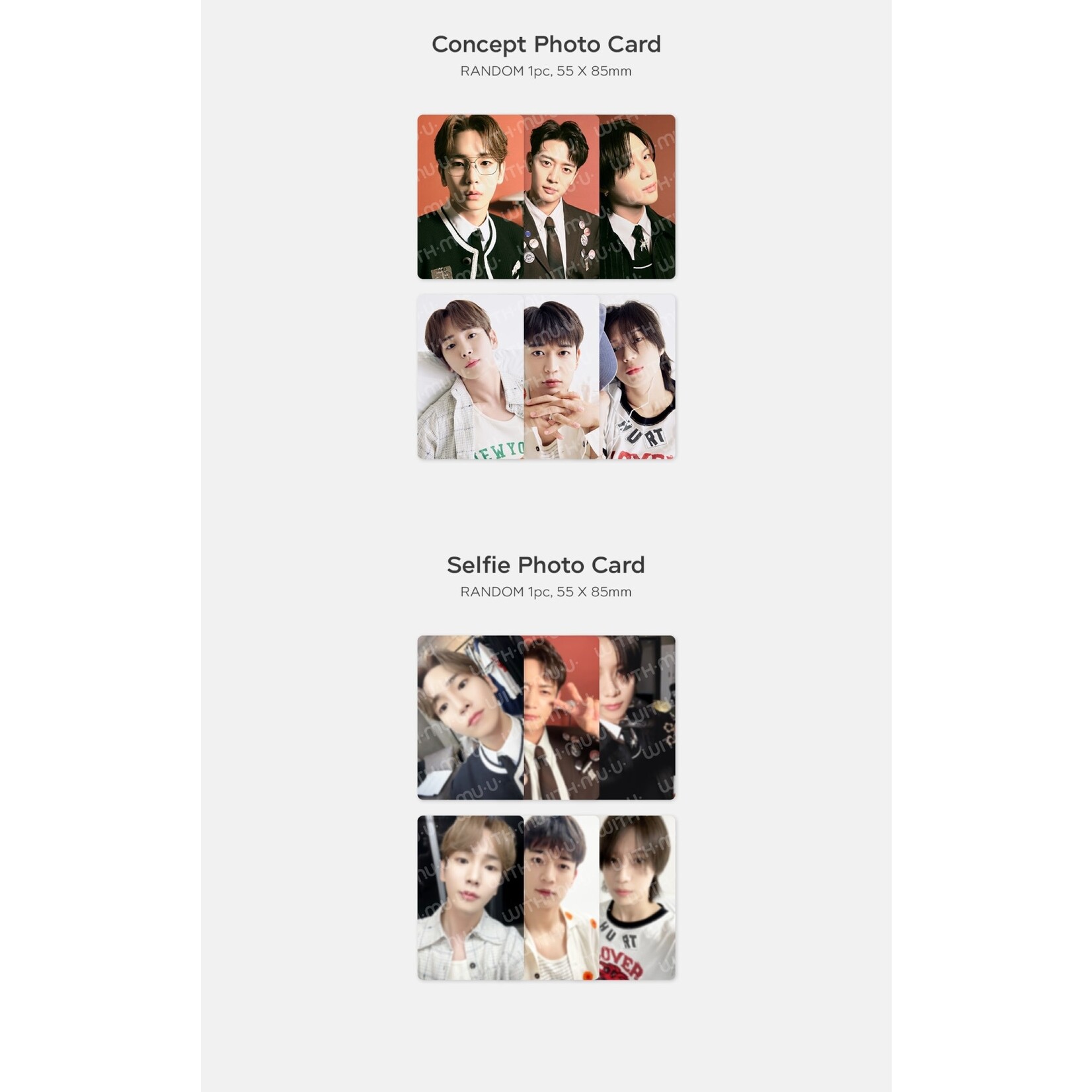 Shinee Shinee - 12 RANDOM TRADING CARD SET / 2024 SEASON'S GREETINGS OFFICIAL MD