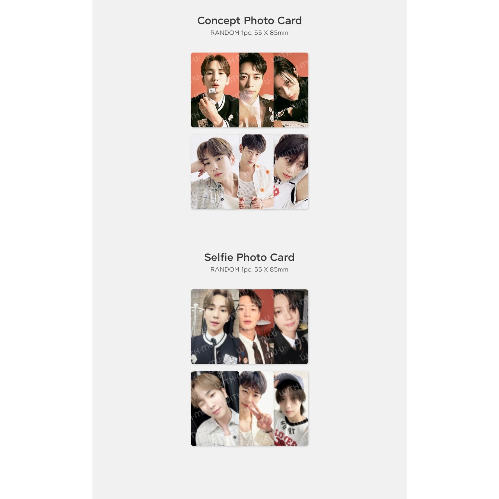Shinee Shinee - 12 RANDOM TRADING CARD SET / 2024 SEASON'S GREETINGS OFFICIAL MD