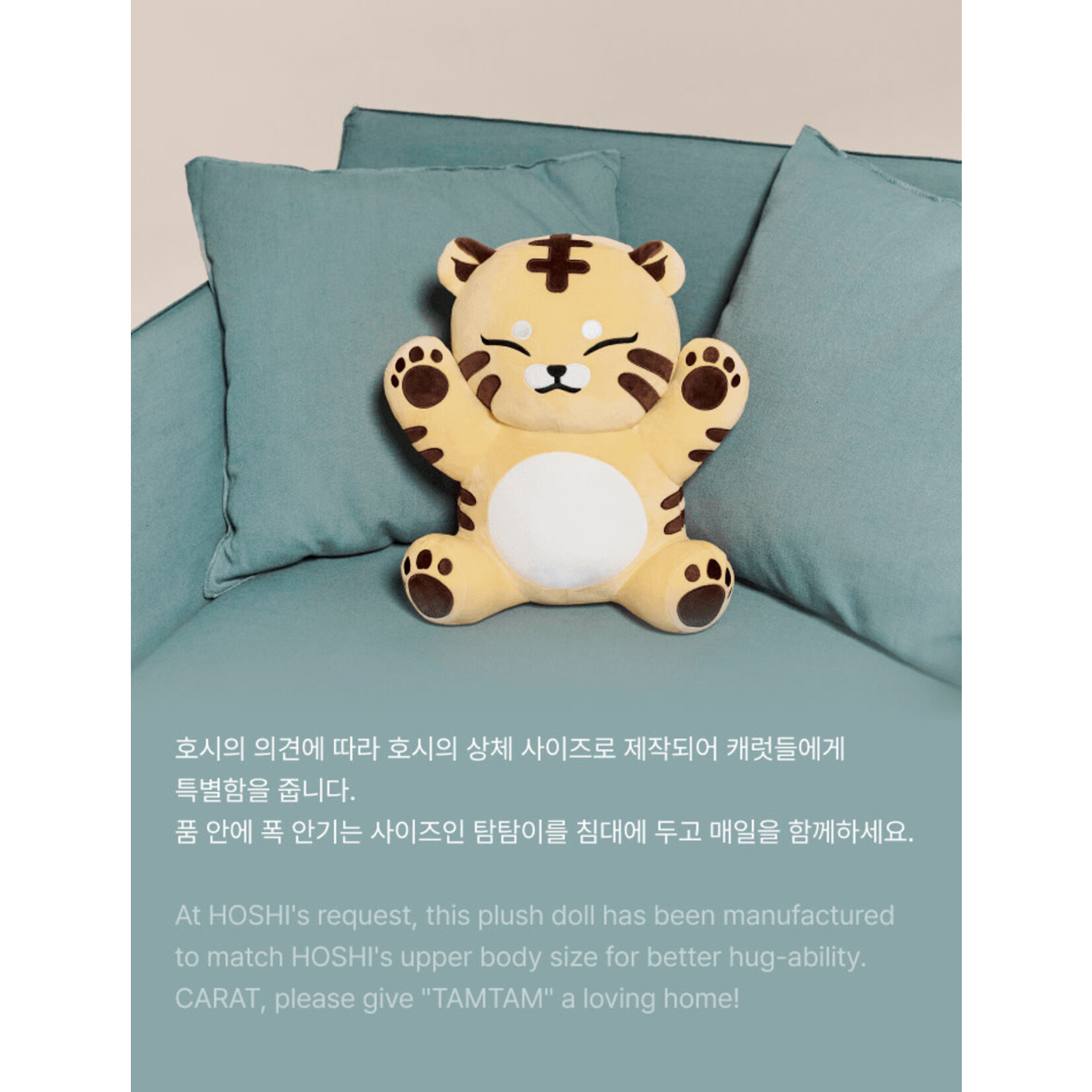 Seventeen SEVENTEEN - [HOSHI] Plush Toy