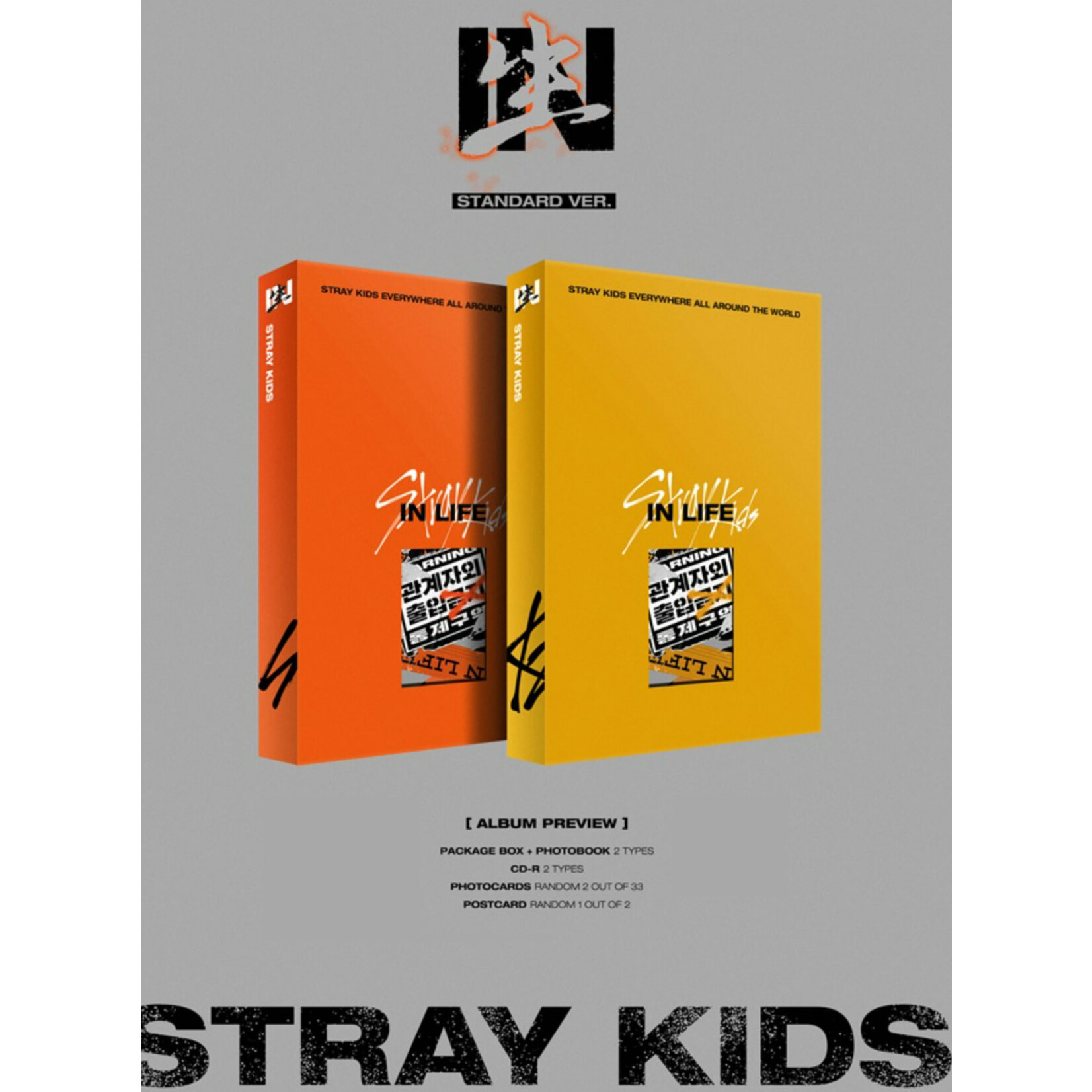 Stray Kids Stray Kids - Vol.1 Repackage [IN生 (IN LIFE)] (Random version)